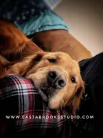 processed/631dd81e-d401-443a-ab16-78c1e9665efe/facility/2b3d5aa5-2935-48e3-8bcc-52a5daba9c36