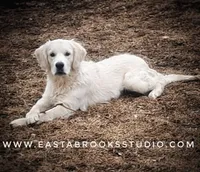 processed/631dd81e-d401-443a-ab16-78c1e9665efe/facility/35352cd8-8d27-4f27-8963-34557bf0c387