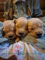 processed/631dd81e-d401-443a-ab16-78c1e9665efe/facility/3b1b56cb-50bc-49c1-8d2b-2032739949ed