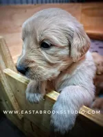 processed/631dd81e-d401-443a-ab16-78c1e9665efe/facility/da553b2b-f850-465d-b11c-d41a79eb271b