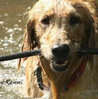 processed/631dd81e-d401-443a-ab16-78c1e9665efe/facility/e5796d29-163a-4b0b-a911-b43b2918a9e9