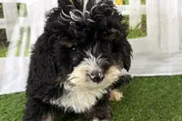 processed/632ae00d-cb25-448f-9769-381ae2030b8e/listing/07bb3519-0766-435f-ac6b-ad034dfae7f8/2f2ad443-4037-41d9-a848-002f5fd199d6