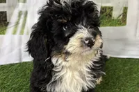 processed/632ae00d-cb25-448f-9769-381ae2030b8e/listing/07bb3519-0766-435f-ac6b-ad034dfae7f8/46ff35c3-6543-404d-81bf-9e614dbf3d88