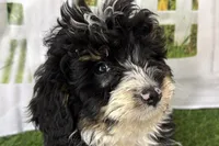 processed/632ae00d-cb25-448f-9769-381ae2030b8e/listing/07bb3519-0766-435f-ac6b-ad034dfae7f8/5621c1f3-85aa-4bd1-8d4c-0b1d1d120284