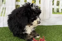 processed/632ae00d-cb25-448f-9769-381ae2030b8e/listing/07bb3519-0766-435f-ac6b-ad034dfae7f8/70ac66be-1b32-48fb-a3c2-1b1b6807b040