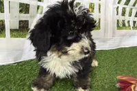 processed/632ae00d-cb25-448f-9769-381ae2030b8e/listing/07bb3519-0766-435f-ac6b-ad034dfae7f8/716c1a95-4b9f-4a12-9bec-a95d0cd63463