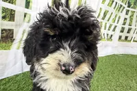 processed/632ae00d-cb25-448f-9769-381ae2030b8e/listing/07bb3519-0766-435f-ac6b-ad034dfae7f8/f18d5e43-9b56-4a87-82b1-e8818c50daee