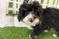 processed/632ae00d-cb25-448f-9769-381ae2030b8e/listing/07bb3519-0766-435f-ac6b-ad034dfae7f8/f396f0f8-cd5f-4038-989f-e0acfe899627