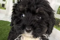 processed/632ae00d-cb25-448f-9769-381ae2030b8e/listing/1f66ddfe-9646-4f44-b237-2c353be21233/5a8d604b-7fdb-4c24-b506-ae06b9a0a08b