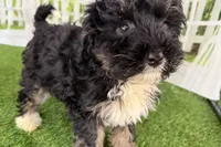 processed/632ae00d-cb25-448f-9769-381ae2030b8e/listing/1f66ddfe-9646-4f44-b237-2c353be21233/8216add7-d80a-4e70-8bad-72731bdd8d49