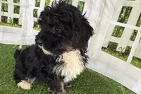 processed/632ae00d-cb25-448f-9769-381ae2030b8e/listing/1f66ddfe-9646-4f44-b237-2c353be21233/a600328a-1970-4f0b-8c0c-de16e4848242