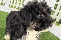 processed/632ae00d-cb25-448f-9769-381ae2030b8e/listing/1f66ddfe-9646-4f44-b237-2c353be21233/af769107-09e1-4d7d-9d58-78b3821363cb