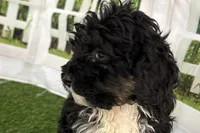 processed/632ae00d-cb25-448f-9769-381ae2030b8e/listing/1f66ddfe-9646-4f44-b237-2c353be21233/d2be9b70-e865-463a-971b-c56ef29e4cbc