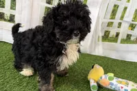 processed/632ae00d-cb25-448f-9769-381ae2030b8e/listing/1f66ddfe-9646-4f44-b237-2c353be21233/f4535e2b-541a-41e4-a8f1-4969ed66ba91