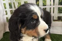 processed/632ae00d-cb25-448f-9769-381ae2030b8e/listing/24b5ff31-6443-450d-b650-805f5d013a0c/0dd5d21e-8c70-402a-aaf2-dc5b5fce8a8a