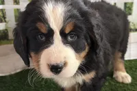 processed/632ae00d-cb25-448f-9769-381ae2030b8e/listing/24b5ff31-6443-450d-b650-805f5d013a0c/5bf64206-290c-4653-9714-3aa18cba0b91