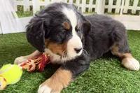 processed/632ae00d-cb25-448f-9769-381ae2030b8e/listing/24b5ff31-6443-450d-b650-805f5d013a0c/bfd33e77-5cd8-4c94-b7ec-30fa84c2aa58