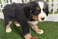 processed/632ae00d-cb25-448f-9769-381ae2030b8e/listing/24b5ff31-6443-450d-b650-805f5d013a0c/ef1c7baa-a85a-4c75-8c11-5b0dac3374bb