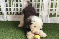 processed/632ae00d-cb25-448f-9769-381ae2030b8e/listing/294fa62f-a155-48f9-a6f6-4dda26600502/5eef2d5c-d761-4e09-bbd0-13bdbff14816