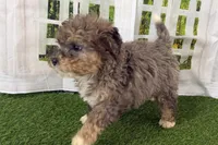 processed/632ae00d-cb25-448f-9769-381ae2030b8e/listing/33cfd4a0-00f8-4249-8ddc-15f1eb2f9a88/2fabd827-0431-4462-a39d-ffc9f8899bac