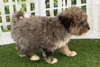 processed/632ae00d-cb25-448f-9769-381ae2030b8e/listing/33cfd4a0-00f8-4249-8ddc-15f1eb2f9a88/9731d825-4588-4f7e-861b-4b52523fa973