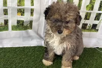 processed/632ae00d-cb25-448f-9769-381ae2030b8e/listing/33cfd4a0-00f8-4249-8ddc-15f1eb2f9a88/99620e8c-2179-4850-a7fd-b4c6aa095cce