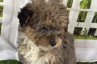 processed/632ae00d-cb25-448f-9769-381ae2030b8e/listing/33cfd4a0-00f8-4249-8ddc-15f1eb2f9a88/a21e2ee1-2dd9-4d4f-b50b-a3099892dd75