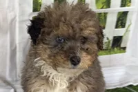 processed/632ae00d-cb25-448f-9769-381ae2030b8e/listing/33cfd4a0-00f8-4249-8ddc-15f1eb2f9a88/b5af8309-a67b-4702-8412-c3e0d7c9f37f