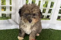 processed/632ae00d-cb25-448f-9769-381ae2030b8e/listing/33cfd4a0-00f8-4249-8ddc-15f1eb2f9a88/c371359a-ab01-4256-b56d-e769cda6e6e0