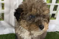 processed/632ae00d-cb25-448f-9769-381ae2030b8e/listing/33cfd4a0-00f8-4249-8ddc-15f1eb2f9a88/c7a67161-6526-44d1-a49d-5e4b0d0a076d