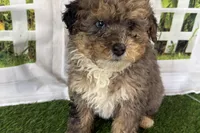 processed/632ae00d-cb25-448f-9769-381ae2030b8e/listing/33cfd4a0-00f8-4249-8ddc-15f1eb2f9a88/faeabb2b-16a2-453e-b843-50748a8b4049