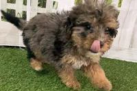 processed/632ae00d-cb25-448f-9769-381ae2030b8e/listing/512f081c-40cc-4c5f-8b5a-4dbc0c15732a/0f3cdbd3-337e-4f43-a9a1-4477332f0e7a