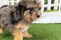 processed/632ae00d-cb25-448f-9769-381ae2030b8e/listing/512f081c-40cc-4c5f-8b5a-4dbc0c15732a/43ff901f-63d9-43c9-a61c-74c75da7ad2c