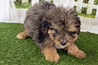 processed/632ae00d-cb25-448f-9769-381ae2030b8e/listing/512f081c-40cc-4c5f-8b5a-4dbc0c15732a/63720f33-9222-4c33-b2ab-26e01449ccb5