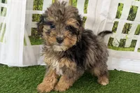 processed/632ae00d-cb25-448f-9769-381ae2030b8e/listing/512f081c-40cc-4c5f-8b5a-4dbc0c15732a/6b8fc815-fabf-4a49-9382-fef06de5886e