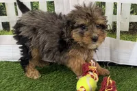 processed/632ae00d-cb25-448f-9769-381ae2030b8e/listing/512f081c-40cc-4c5f-8b5a-4dbc0c15732a/987d9228-3439-4767-bd0b-661df737c628