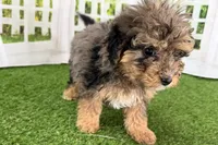 processed/632ae00d-cb25-448f-9769-381ae2030b8e/listing/512f081c-40cc-4c5f-8b5a-4dbc0c15732a/bf822dc9-053f-4184-8954-1a0a3091c363