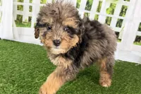 processed/632ae00d-cb25-448f-9769-381ae2030b8e/listing/512f081c-40cc-4c5f-8b5a-4dbc0c15732a/e17c1b07-1007-4506-9225-9df0c4764dc0