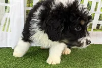 processed/632ae00d-cb25-448f-9769-381ae2030b8e/listing/5d48428f-077b-456f-aa48-fcf6003a3520/13162707-7b94-4eb5-92fa-c09cc72e8afb