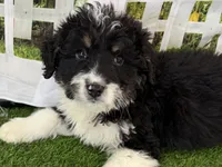 processed/632ae00d-cb25-448f-9769-381ae2030b8e/listing/5d48428f-077b-456f-aa48-fcf6003a3520/1e7d8ff4-2abf-4585-9c97-3362d9cd4c5d