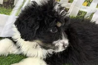 processed/632ae00d-cb25-448f-9769-381ae2030b8e/listing/5d48428f-077b-456f-aa48-fcf6003a3520/3413d3b1-eacb-4e39-baff-52a5731205b8