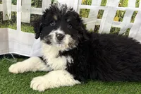 processed/632ae00d-cb25-448f-9769-381ae2030b8e/listing/5d48428f-077b-456f-aa48-fcf6003a3520/697e6fe8-f6c0-42e3-83b7-78ed8b93ae94