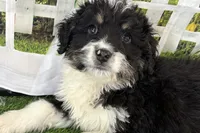 processed/632ae00d-cb25-448f-9769-381ae2030b8e/listing/5d48428f-077b-456f-aa48-fcf6003a3520/76b087f4-c04a-45ca-99a8-dad40507989b