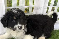 processed/632ae00d-cb25-448f-9769-381ae2030b8e/listing/5d48428f-077b-456f-aa48-fcf6003a3520/ad2bfbae-c2e2-46ba-ac16-8e1644b81507