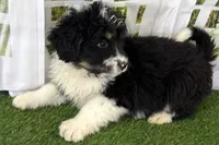 processed/632ae00d-cb25-448f-9769-381ae2030b8e/listing/5d48428f-077b-456f-aa48-fcf6003a3520/c1acb96b-f9c7-40cc-b9c3-65f7a83942f4