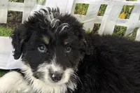 processed/632ae00d-cb25-448f-9769-381ae2030b8e/listing/5d48428f-077b-456f-aa48-fcf6003a3520/db5104ef-5ca1-4e08-b923-f76e8af24ee1