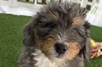 processed/632ae00d-cb25-448f-9769-381ae2030b8e/listing/5f6e9111-d273-4a30-ba69-d51403ff4daf/1e5f3fd5-4331-490d-8766-e0c2b0c3b267