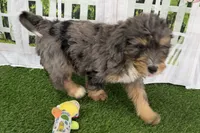 processed/632ae00d-cb25-448f-9769-381ae2030b8e/listing/5f6e9111-d273-4a30-ba69-d51403ff4daf/30704a77-421f-4186-8587-34081c33be0e