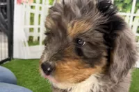 processed/632ae00d-cb25-448f-9769-381ae2030b8e/listing/5f6e9111-d273-4a30-ba69-d51403ff4daf/478cf5c8-34c3-44b5-84ed-73fade7d9f9b