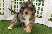 processed/632ae00d-cb25-448f-9769-381ae2030b8e/listing/5f6e9111-d273-4a30-ba69-d51403ff4daf/5bc1bd38-dae2-4a5b-b2d6-e080467f9cf8